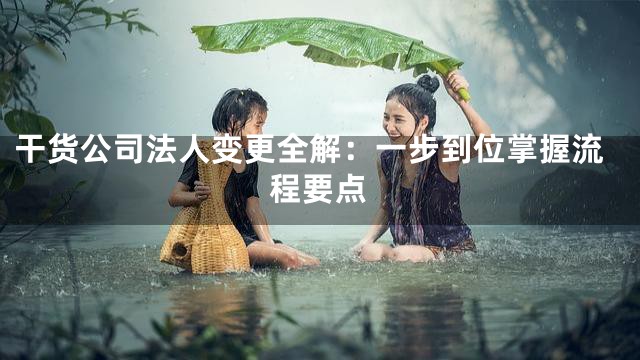 干货公司法人变更全解：一步到位掌握流程要点