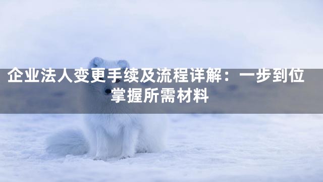 企业法人变更手续及流程详解：一步到位掌握所需材料