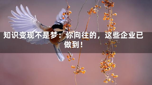 知识变现不是梦：你向往的，这些企业已做到！