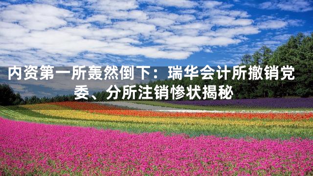 内资第一所轰然倒下：瑞华会计所撤销党委、分所注销惨状揭秘