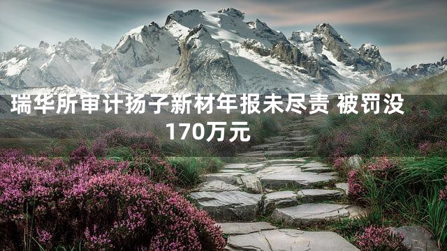 瑞华所审计扬子新材年报未尽责 被罚没170万元