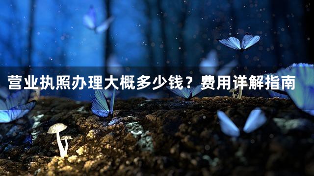 营业执照办理大概多少钱？费用详解指南