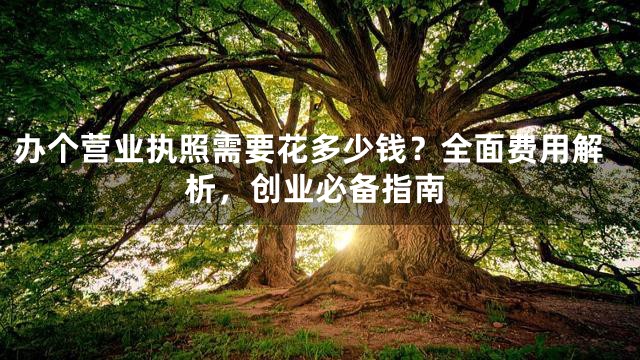 办个营业执照需要花多少钱？全面费用解析，创业必备指南