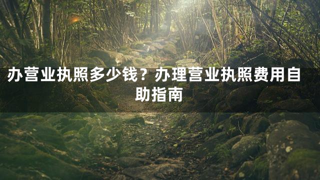 办营业执照多少钱？办理营业执照费用自助指南