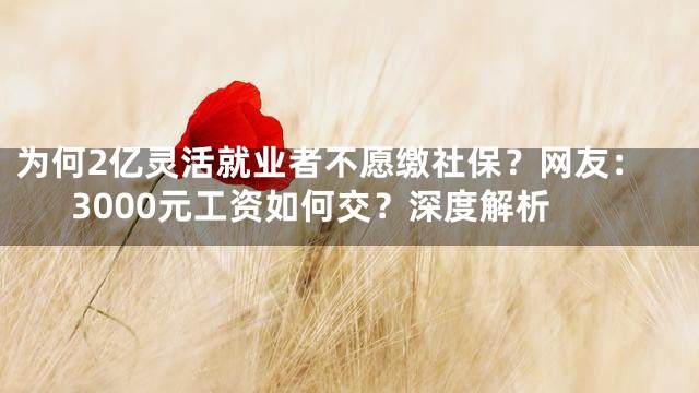 为何2亿灵活就业者不愿缴社保？网友：3000元工资如何交？深度解析