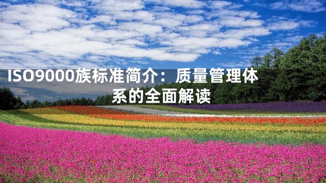 ISO9000族标准简介：质量管理体系的全面解读