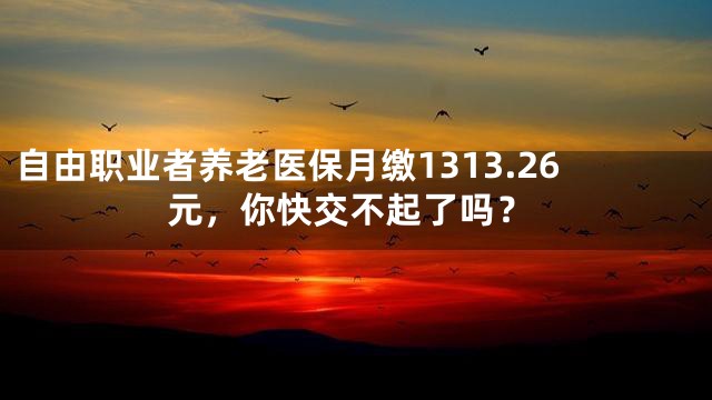 自由职业者养老医保月缴1313.26元，你快交不起了吗？