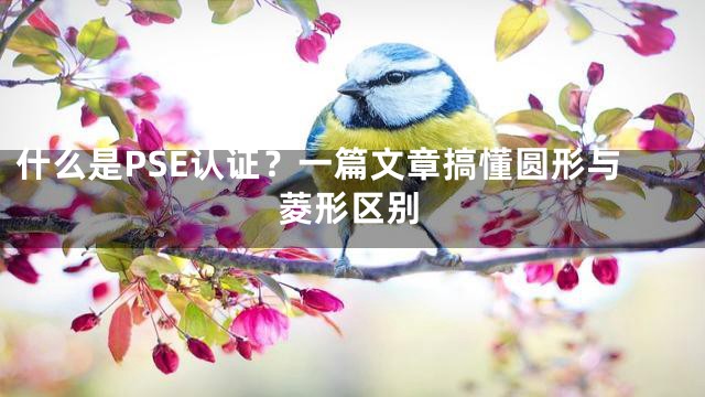 什么是PSE认证？一篇文章搞懂圆形与菱形区别