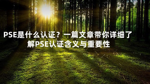 PSE是什么认证？一篇文章带你详细了解PSE认证含义与重要性