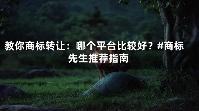 教你商标转让：哪个平台比较好？#商标先生推荐指南