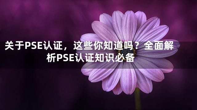 关于PSE认证，这些你知道吗？全面解析PSE认证知识必备