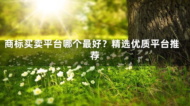 商标买卖平台哪个最好？精选优质平台推荐