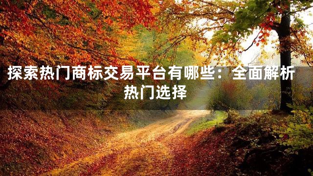 探索热门商标交易平台有哪些：全面解析热门选择
