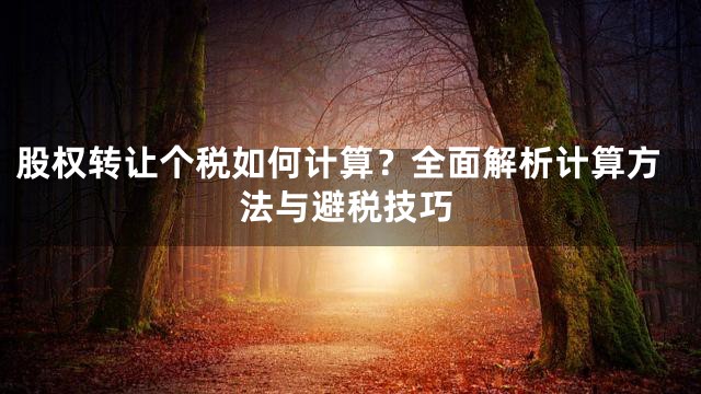 股权转让个税如何计算？全面解析计算方法与避税技巧