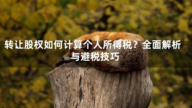 转让股权如何计算个人所得税？全面解析与避税技巧