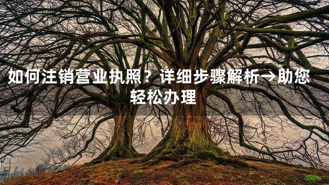 如何注销营业执照？详细步骤解析→助您轻松办理
