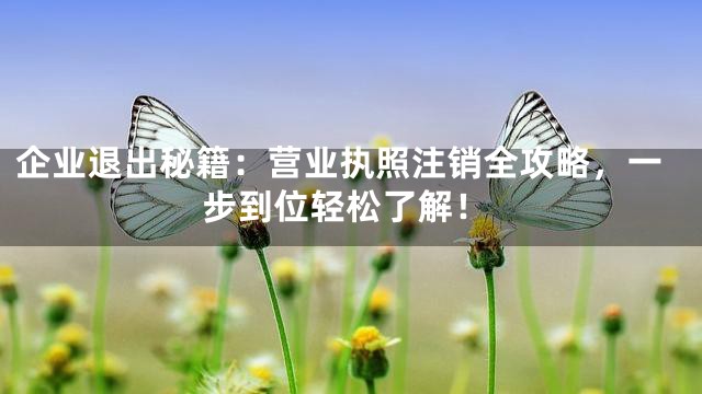 企业退出秘籍：营业执照注销全攻略，一步到位轻松了解！