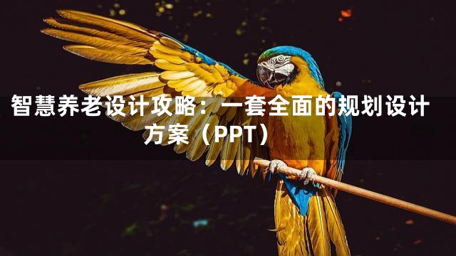智慧养老设计攻略：一套全面的规划设计方案（PPT）