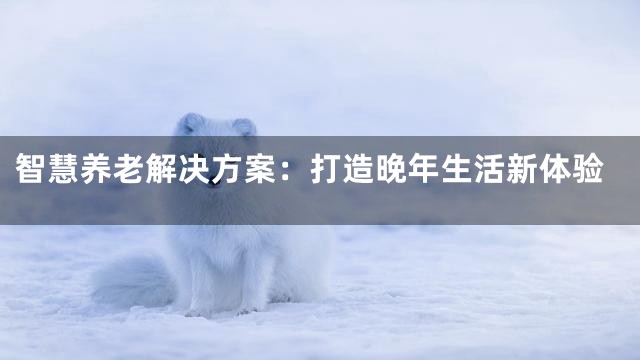 智慧养老解决方案：打造晚年生活新体验
