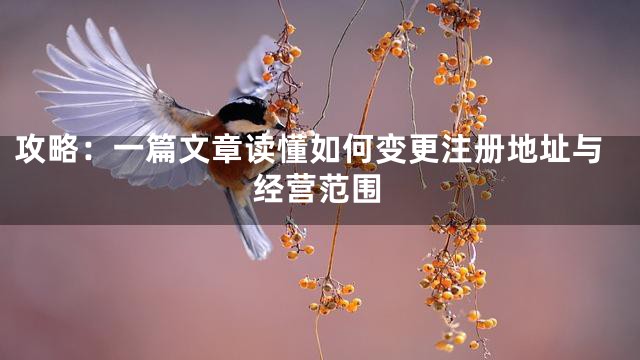 攻略：一篇文章读懂如何变更注册地址与经营范围
