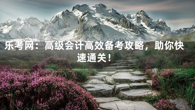 乐考网：高级会计高效备考攻略，助你快速通关！