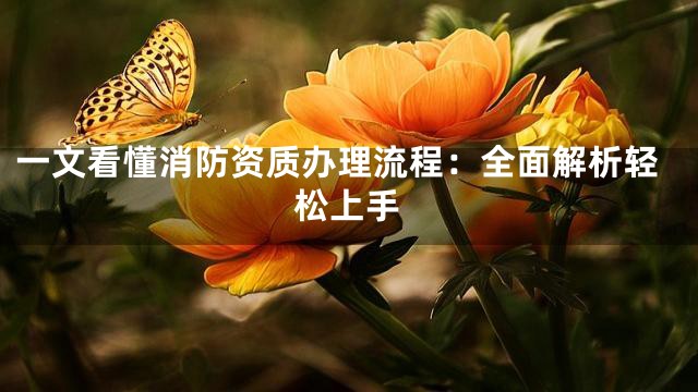 一文看懂消防资质办理流程：全面解析轻松上手