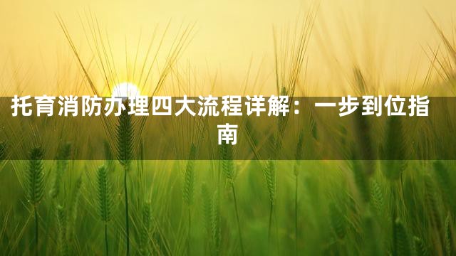 托育消防办理四大流程详解：一步到位指南