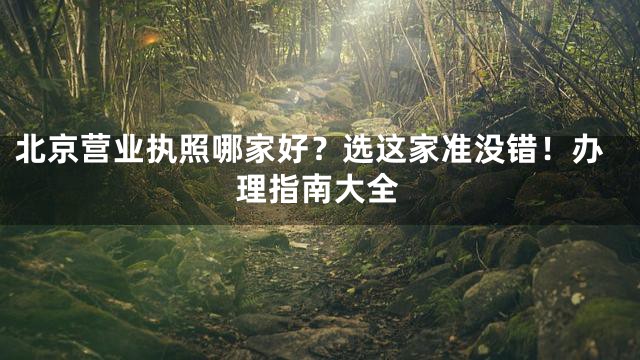 北京营业执照哪家好？选这家准没错！办理指南大全