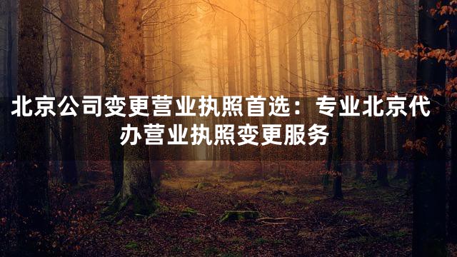 北京公司变更营业执照首选：专业北京代办营业执照变更服务