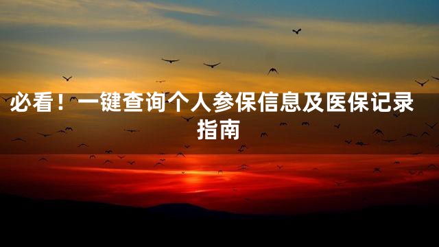 必看！一键查询个人参保信息及医保记录指南