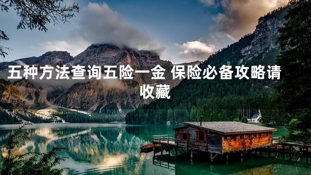 五种方法查询五险一金 保险必备攻略请收藏