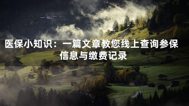 医保小知识：一篇文章教您线上查询参保信息与缴费记录