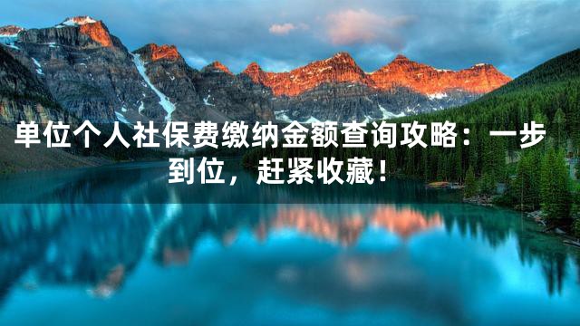 单位个人社保费缴纳金额查询攻略：一步到位，赶紧收藏！
