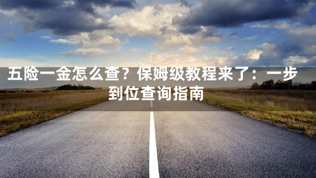 五险一金怎么查？保姆级教程来了：一步到位查询指南