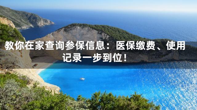 教你在家查询参保信息：医保缴费、使用记录一步到位！