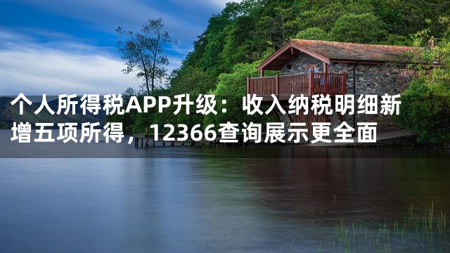 个人所得税APP升级：收入纳税明细新增五项所得，12366查询展示更全面