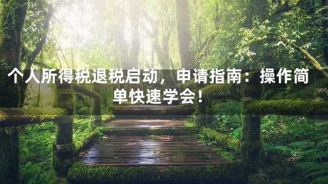 个人所得税退税启动，申请指南：操作简单快速学会！