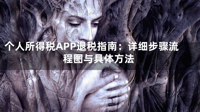 个人所得税APP退税指南：详细步骤流程图与具体方法