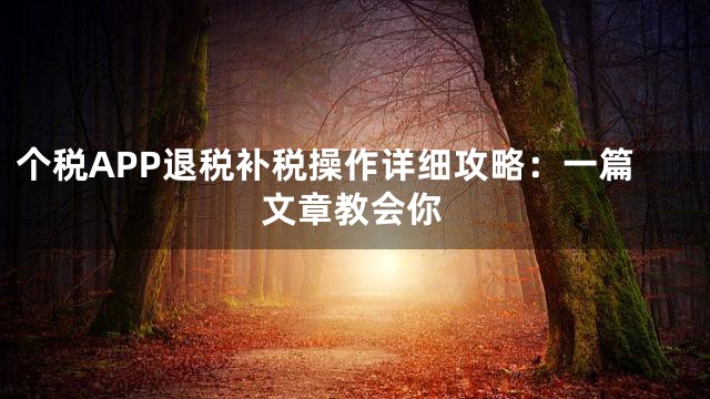 个税APP退税补税操作详细攻略：一篇文章教会你