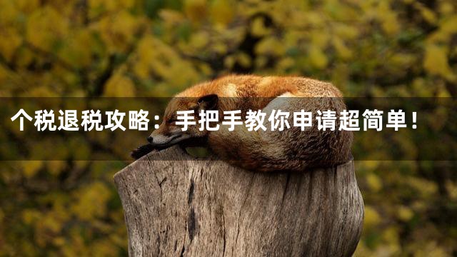个税退税攻略：手把手教你申请超简单！