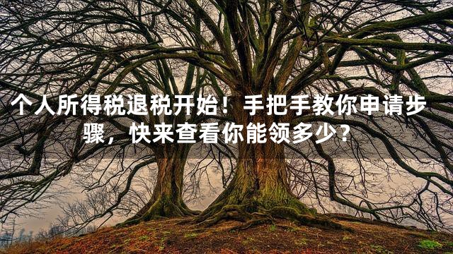 个人所得税退税开始！手把手教你申请步骤，快来查看你能领多少？
