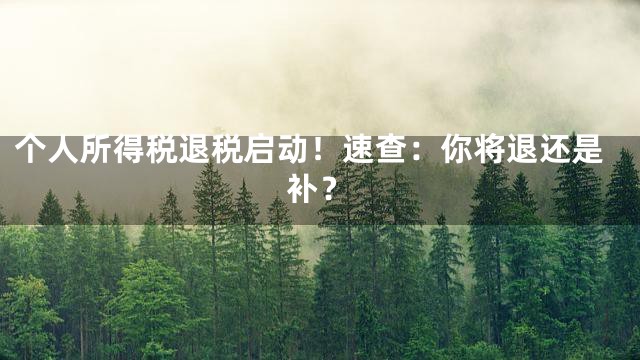 个人所得税退税启动！速查：你将退还是补？