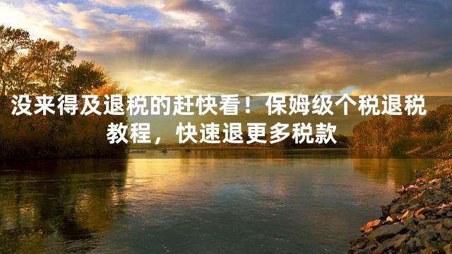 没来得及退税的赶快看！保姆级个税退税教程，快速退更多税款