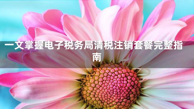 一文掌握电子税务局清税注销套餐完整指南