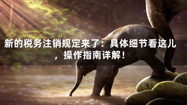 新的税务注销规定来了：具体细节看这儿，操作指南详解！