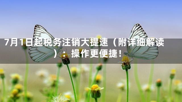 7月1日起税务注销大提速（附详细解读）：操作更便捷！