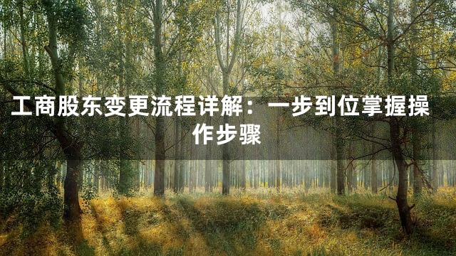 工商股东变更流程详解：一步到位掌握操作步骤