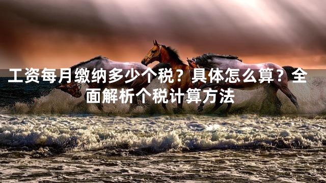 工资每月缴纳多少个税？具体怎么算？全面解析个税计算方法
