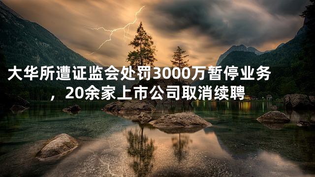 大华所遭证监会处罚3000万暂停业务，20余家上市公司取消续聘