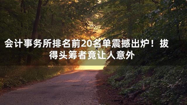 会计事务所排名前20名单震撼出炉！拔得头筹者竟让人意外
